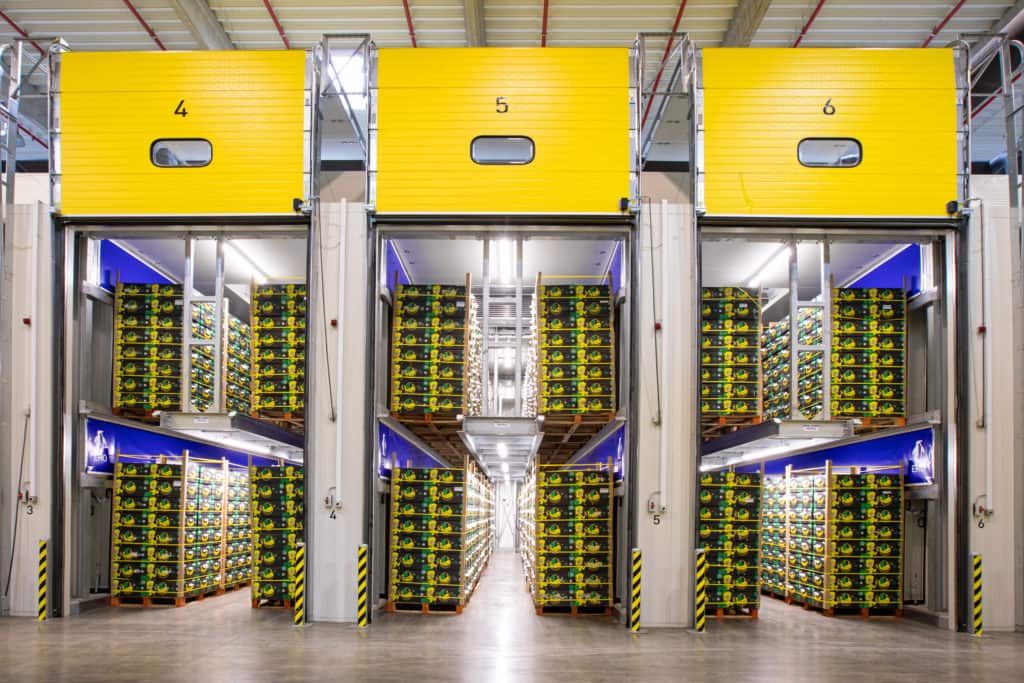 Controlled Atmosphere Cold Storage 2 Banana Ripenning Cold Room