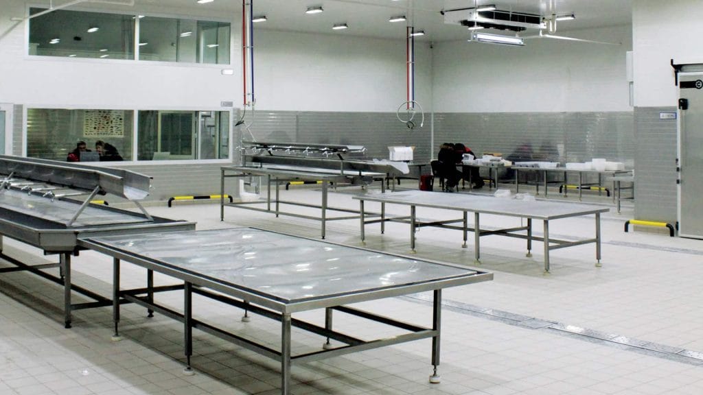Meat and Meatfoods Storage - Industrial Cold Room & Equipments - Frigo ...
