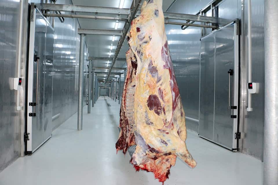 Balık ve Deniz Ürünleri Depolama 4 Kirmizi et 2