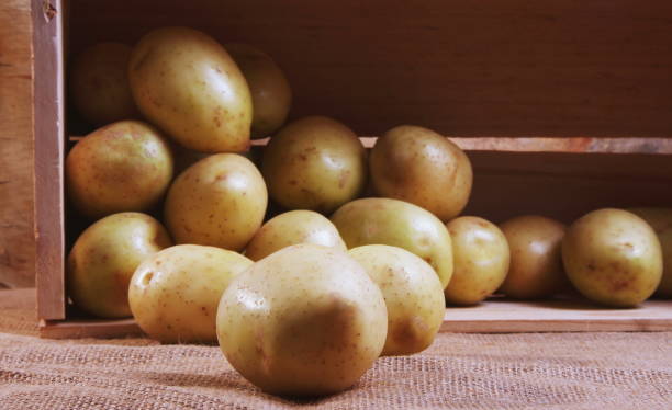 Potatoes Cold Storage