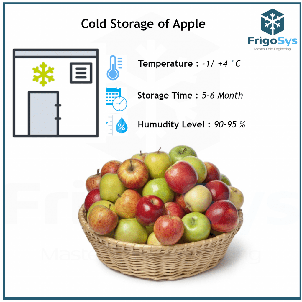 Cold Storage of Apple