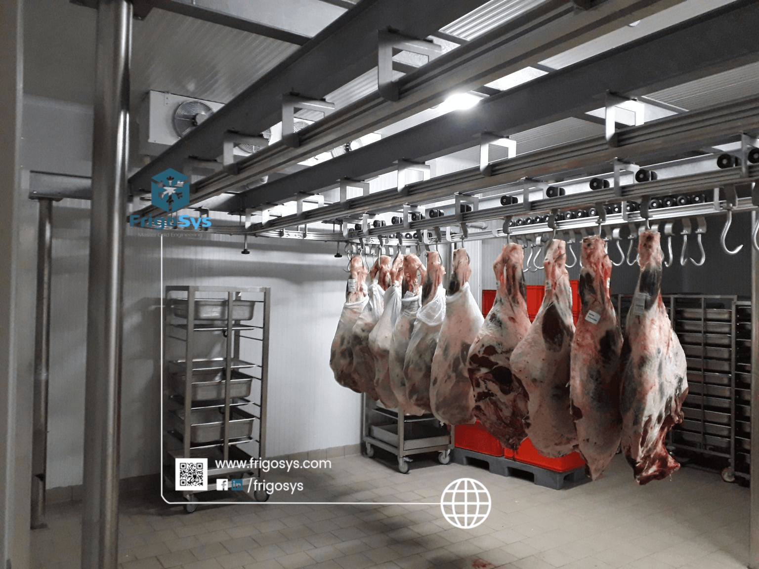 Cold Storage of Meat  Industrial Cold Room & Equipments