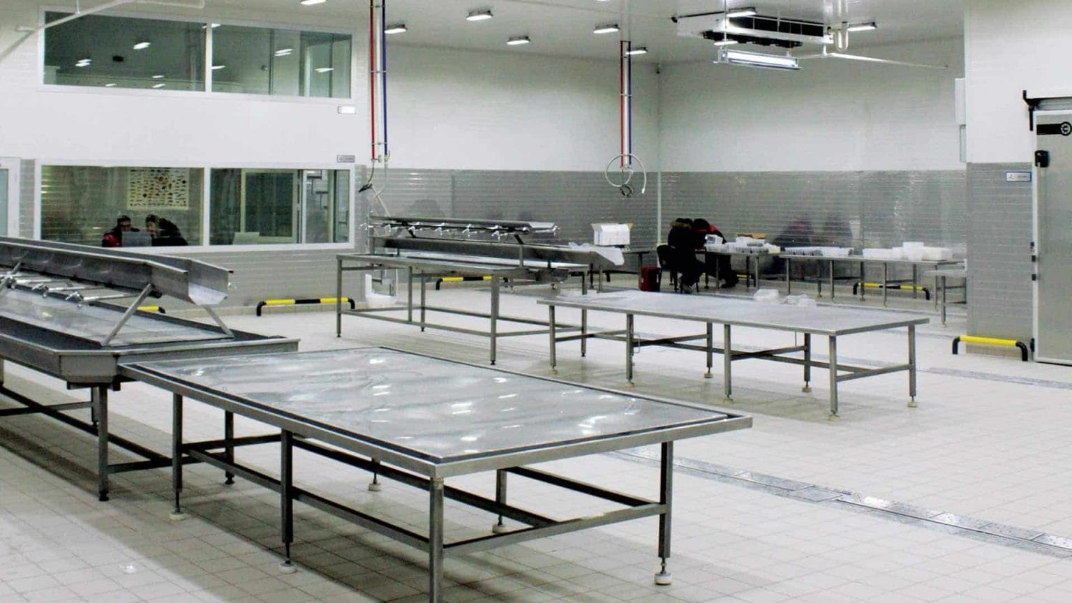 Cow Cold Storage Poultry Products Cold Storage