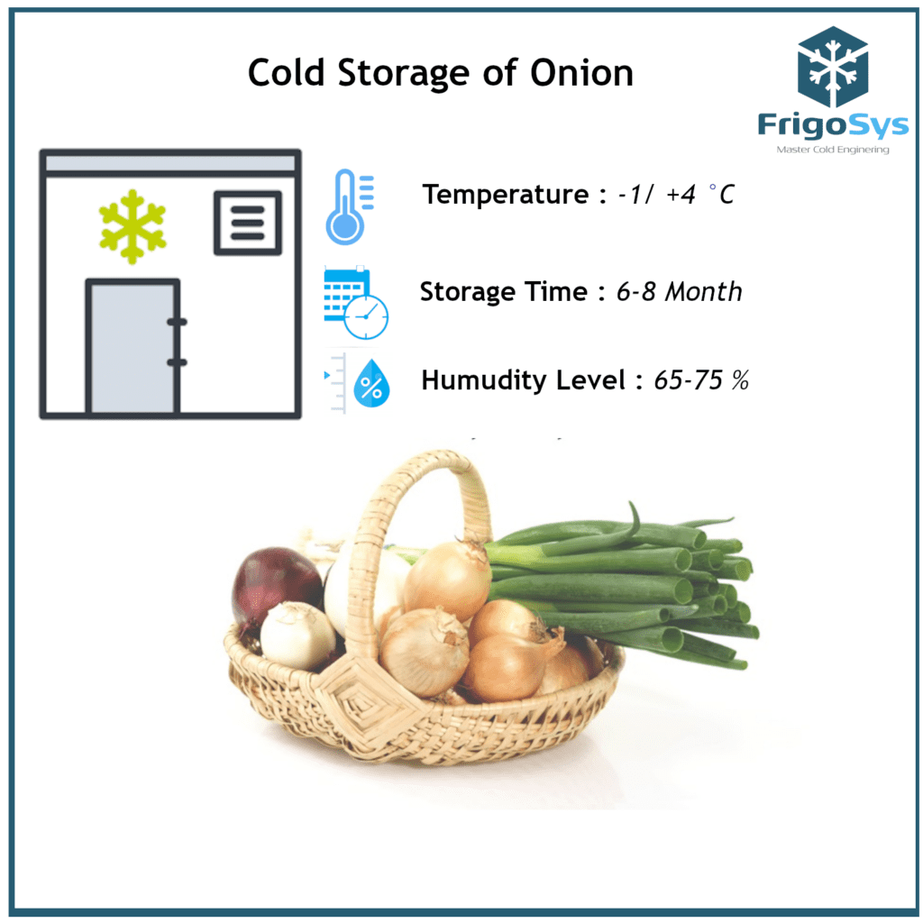 Cold Storage of Onion