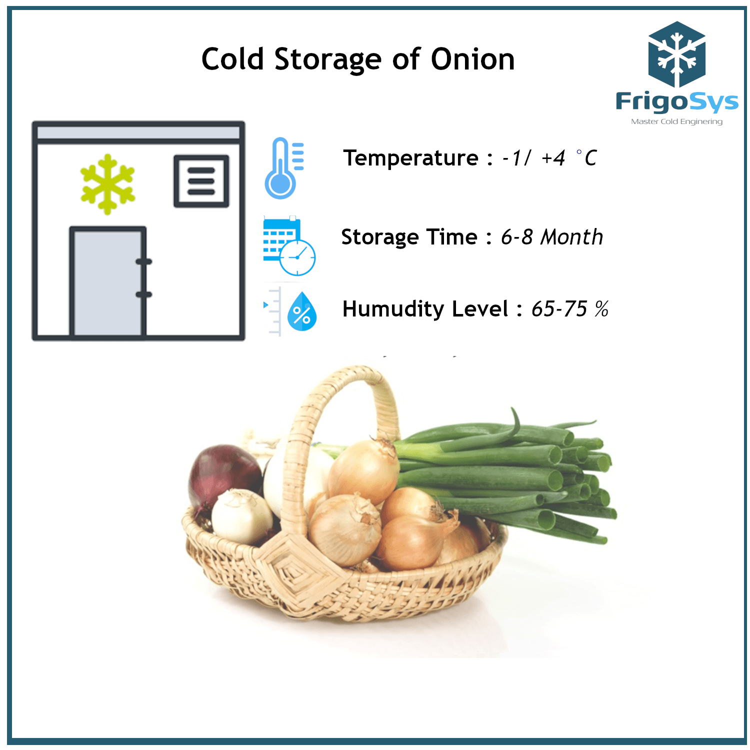 Onion Cold Storage Industrial Cold Room & Equipments