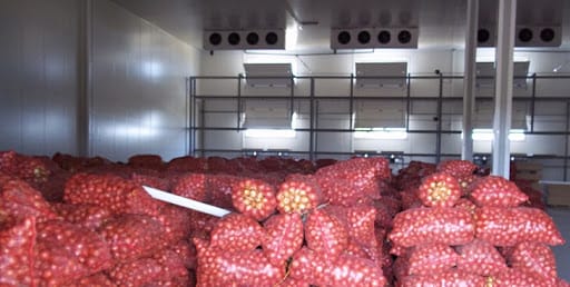 Cold storage of Onion