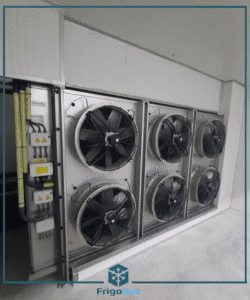 Turnkey Cold Storage Solutions